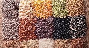 Poultry Feed Ingredients